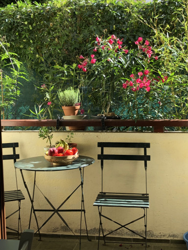 appartement à louer Amélie-les-bains-palalda