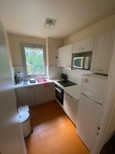 appartement location vacances Amélie-les-bains-palalda