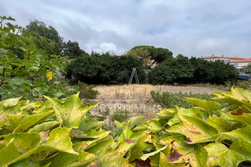 terrain vente Argelès-sur-mer