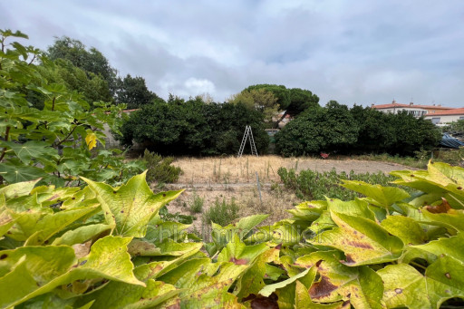 terrain vente Argelès-sur-mer