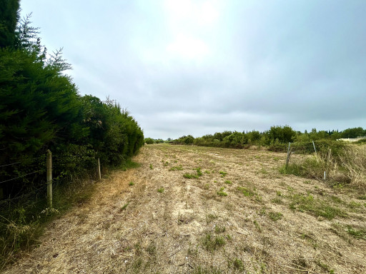 terrain vente Claira