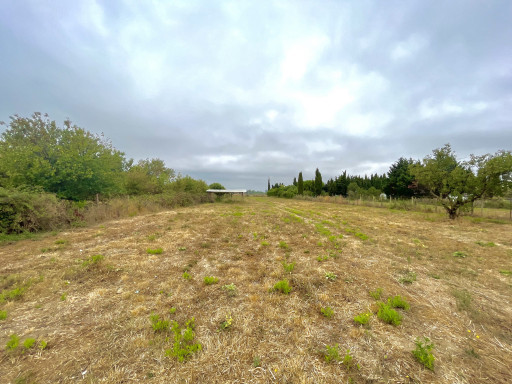 terrain vente Claira