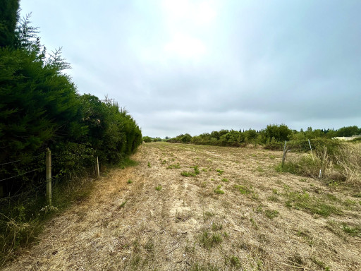 terrain vente Claira