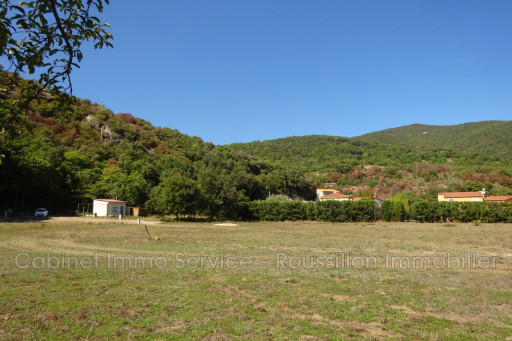 terrain vente Arles-sur-tech