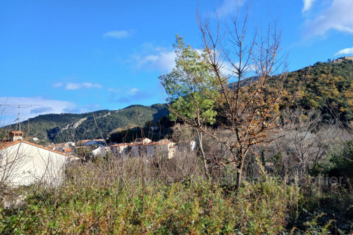 terrain vente Amélie-les-bains-palalda