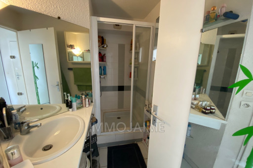 appartement vente Saint-cyprien