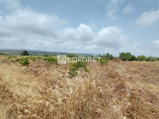 terrain vente Baixas