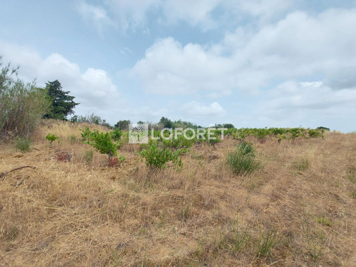 terrain vente Baixas