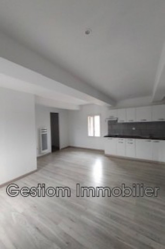 appartement vente Millas