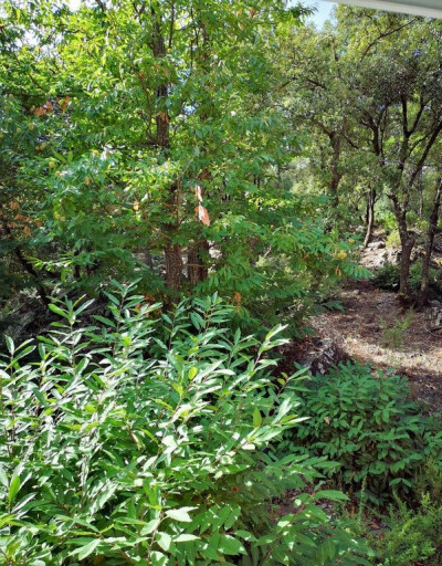 maisonvilla vente Sorède