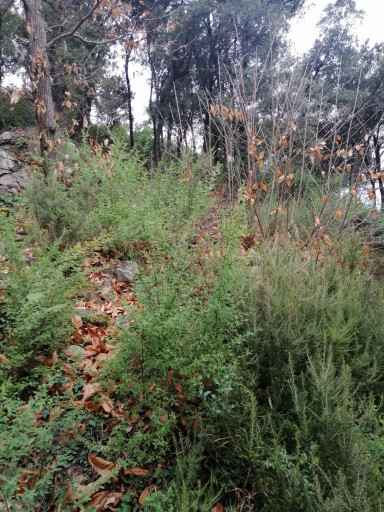 maisonvilla vente Sorède