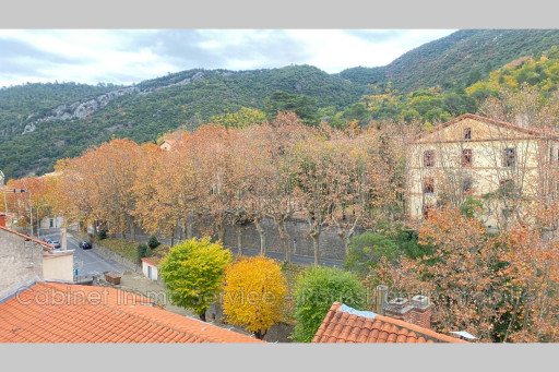 appartement vente Amélie-les-bains-palalda