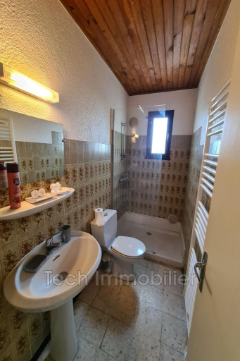 appartement à louer Saint-cyprien