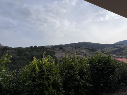 appartement vente Collioure