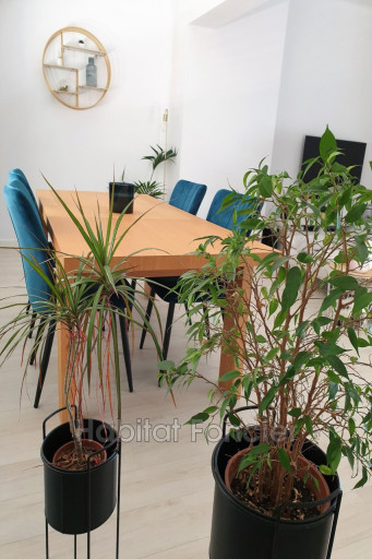 appartement à louer Perpignan