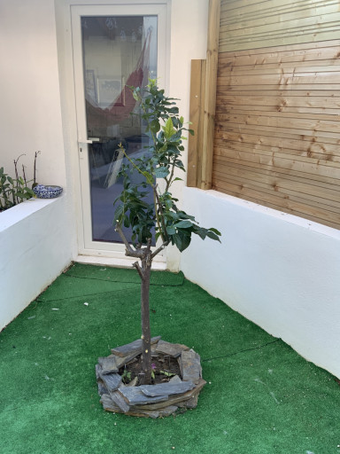 appartement vente Port-vendres