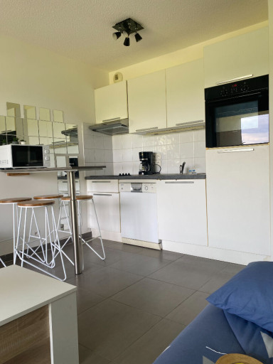 appartement vente Saint-cyprien