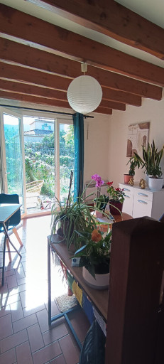 appartement à louer Sorède