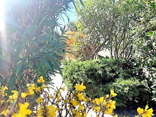 maisonvilla vente St cyprien plage