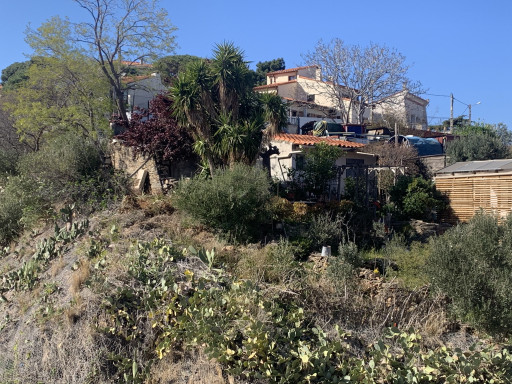 appartement vente Port-vendres