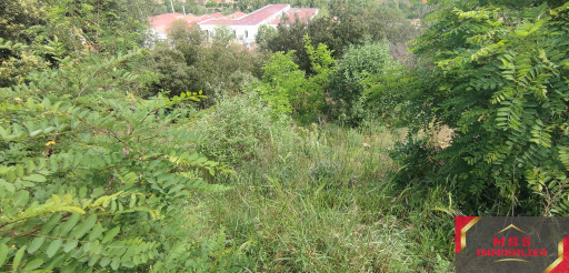 terrain vente Amélie-les-bains-palalda