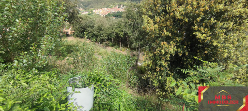 terrain vente Amélie-les-bains-palalda