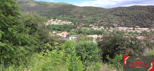 terrain vente Amélie-les-bains-palalda