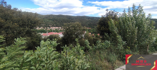terrain vente Amélie-les-bains-palalda