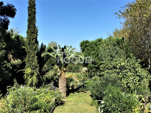 maisonvilla vente Elne
