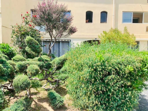 appartement location vacances Amélie-les-bains-palalda