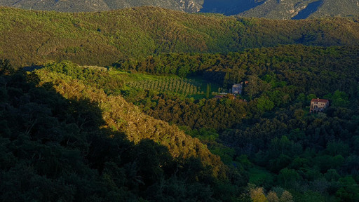 maisonvilla vente Reynès