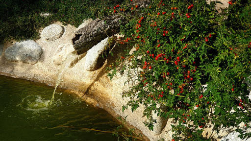 maisonvilla vente Reynès