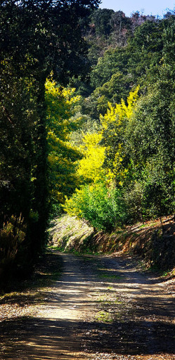 maisonvilla vente Reynès