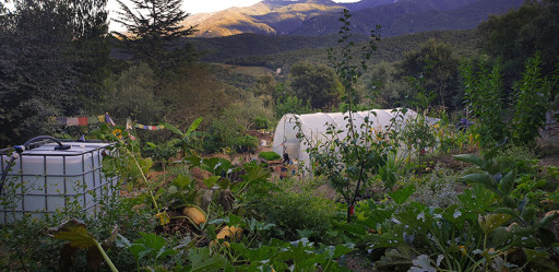 maisonvilla vente Reynès
