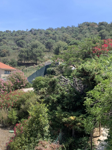 maisonvilla vente Banyuls-sur-mer