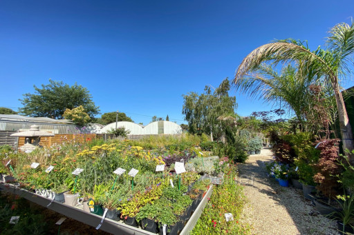 maisonvilla vente Argelès-sur-mer