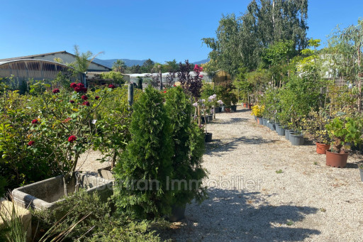 maisonvilla vente Argelès-sur-mer