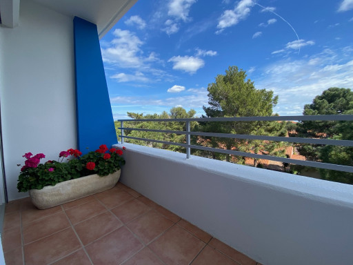 appartement vente Argelès-sur-mer