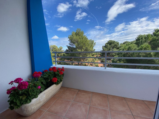 appartement vente Argelès-sur-mer