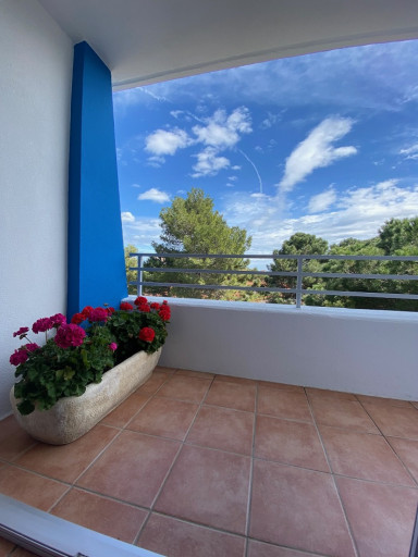 appartement vente Argelès-sur-mer