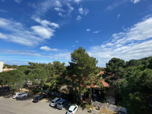 appartement vente Argelès-sur-mer