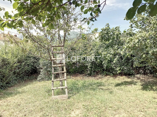 appartement vente Prats-de-mollo-la-preste