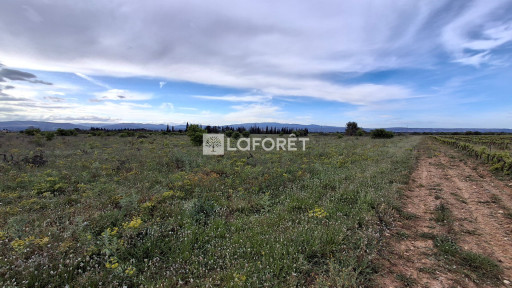 terrain vente Claira