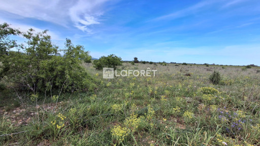 terrain vente Claira