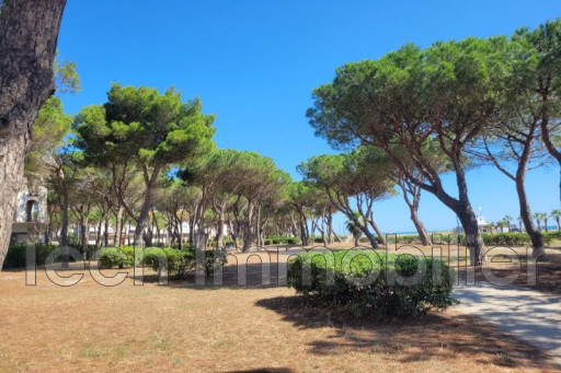 appartement vente Argelès-sur-mer