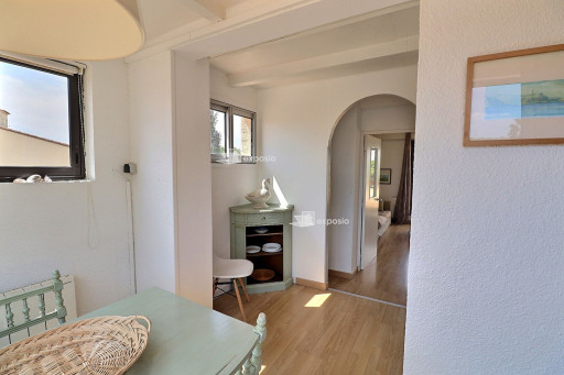 appartement vente Saint-cyprien