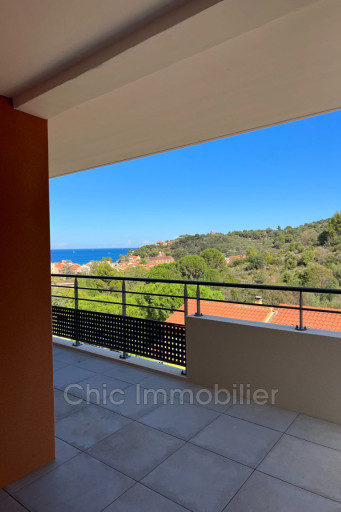appartement vente Collioure