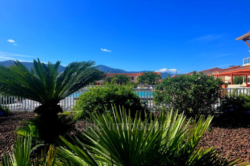 appartement vente Argelès-sur-mer