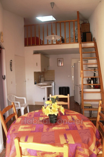 appartement à louer Saint-cyprien