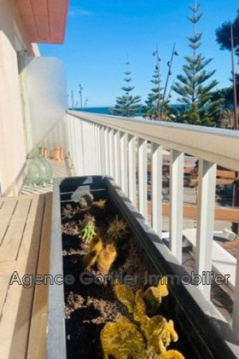 appartement à louer Argelès-sur-mer